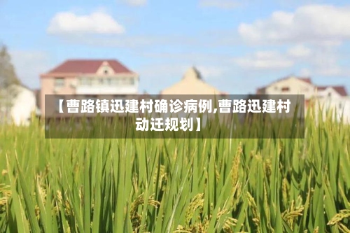 【曹路镇迅建村确诊病例,曹路迅建村动迁规划】-第3张图片