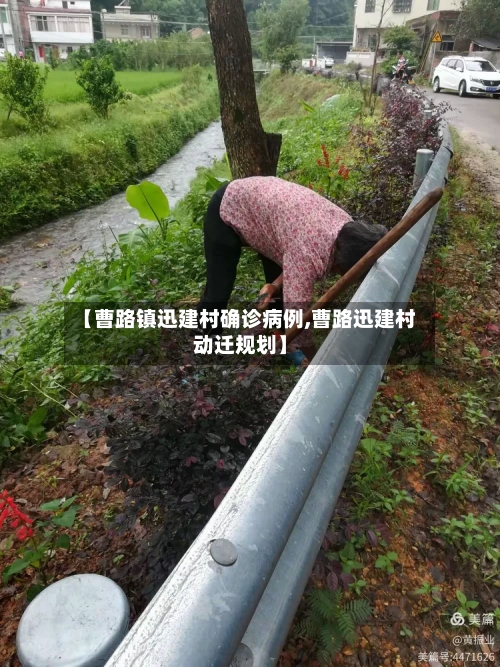 【曹路镇迅建村确诊病例,曹路迅建村动迁规划】