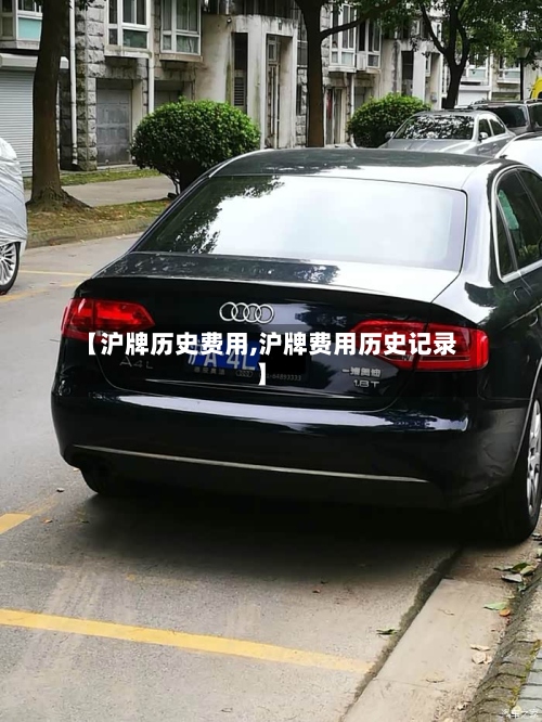 【沪牌历史费用,沪牌费用历史记录】-第2张图片
