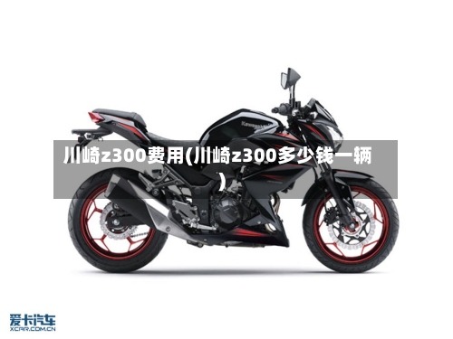 川崎z300费用(川崎z300多少钱一辆)