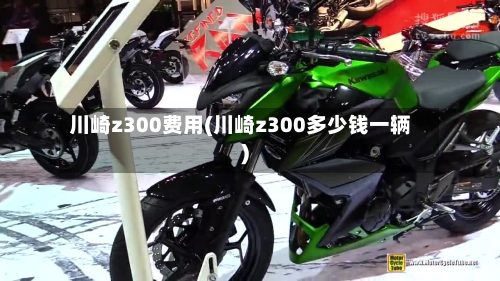 川崎z300费用(川崎z300多少钱一辆)-第3张图片