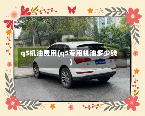 q5机油费用(q5专用机油多少钱)