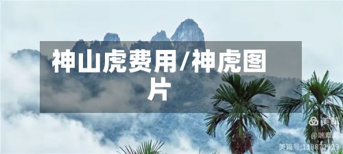 神山虎费用/神虎图片