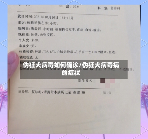伪狂犬病毒如何确诊/伪狂犬病毒病的症状