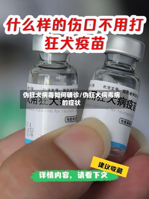 伪狂犬病毒如何确诊/伪狂犬病毒病的症状-第2张图片