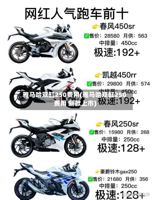 雅马哈双缸250费用(雅马哈双缸250费用 新款上市)-第2张图片