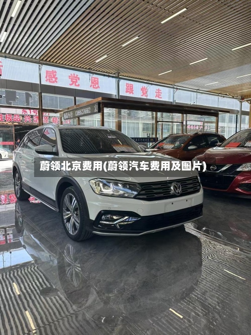 蔚领北京费用(蔚领汽车费用及图片)-第3张图片