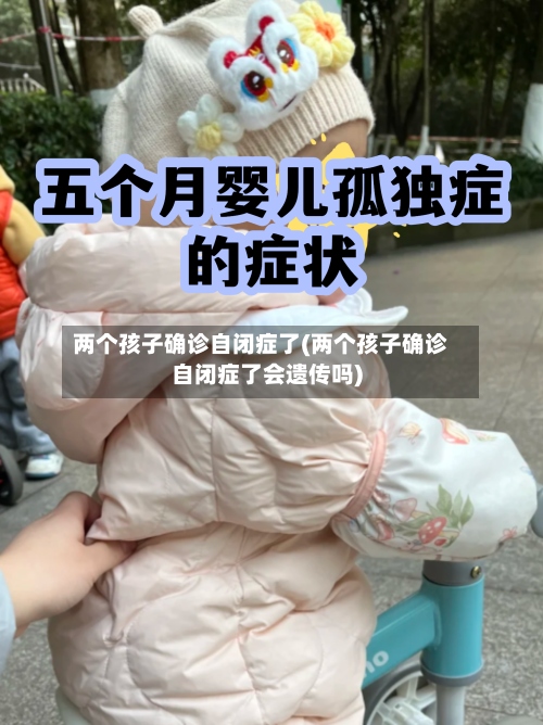 两个孩子确诊自闭症了(两个孩子确诊自闭症了会遗传吗)-第2张图片