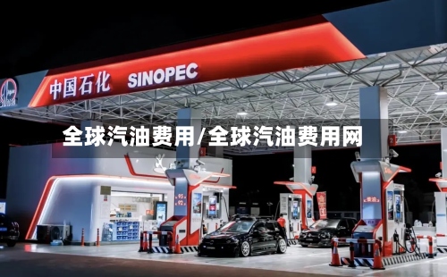 全球汽油费用/全球汽油费用网