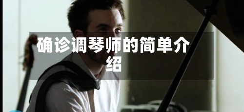 确诊调琴师的简单介绍-第2张图片