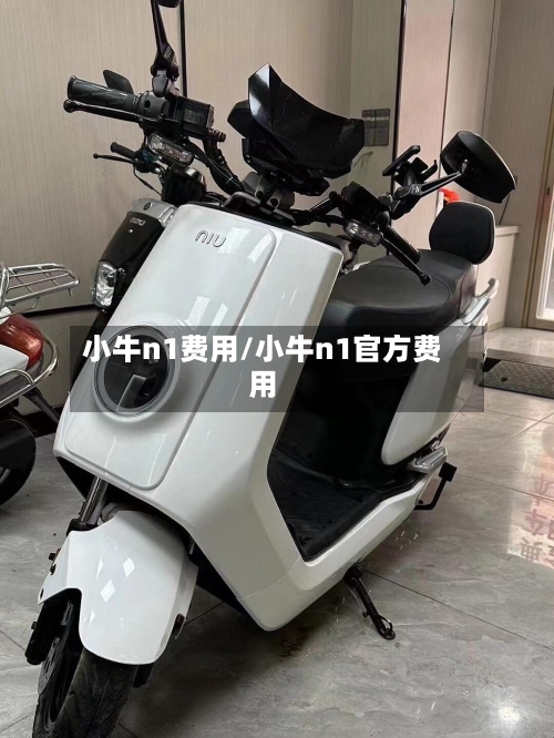小牛n1费用/小牛n1官方费用