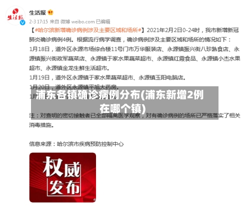 浦东各镇确诊病例分布(浦东新增2例在哪个镇)