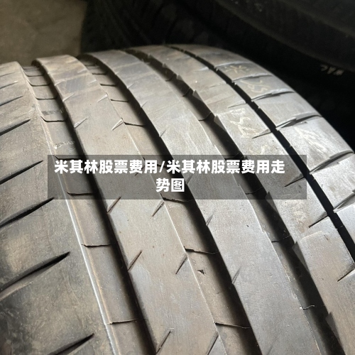 米其林股票费用/米其林股票费用走势图