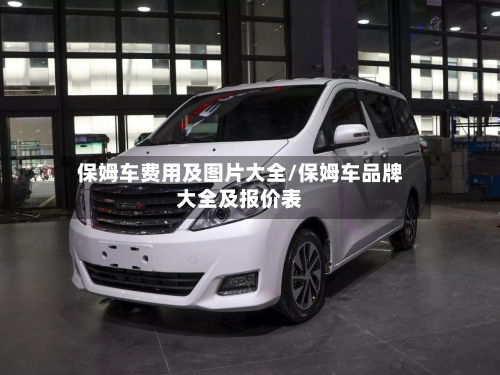 保姆车费用及图片大全/保姆车品牌大全及报价表-第3张图片