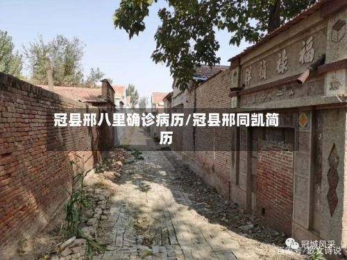 冠县邢八里确诊病历/冠县邢同凯简历-第2张图片