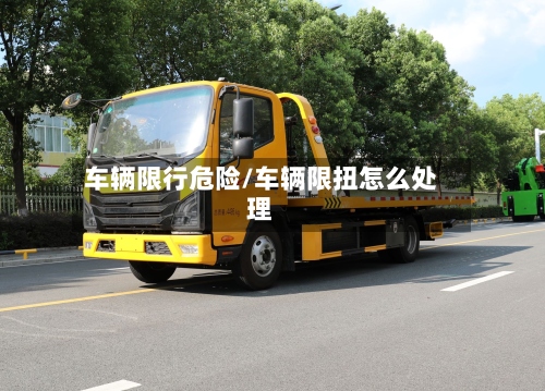 车辆限行危险/车辆限扭怎么处理