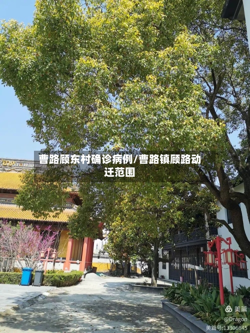 曹路顾东村确诊病例/曹路镇顾路动迁范围