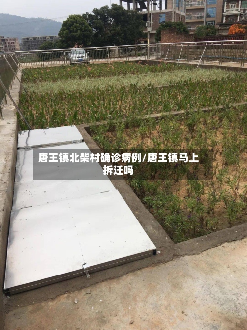 唐王镇北柴村确诊病例/唐王镇马上拆迁吗-第3张图片