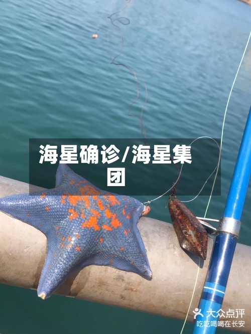 海星确诊/海星集团