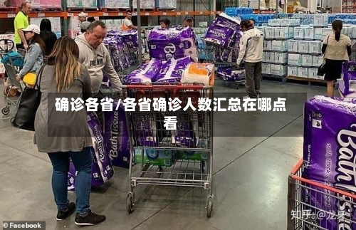 确诊各省/各省确诊人数汇总在哪点看-第3张图片