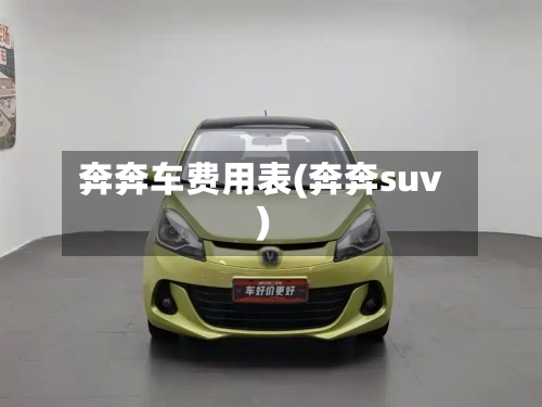 奔奔车费用表(奔奔suv)-第2张图片