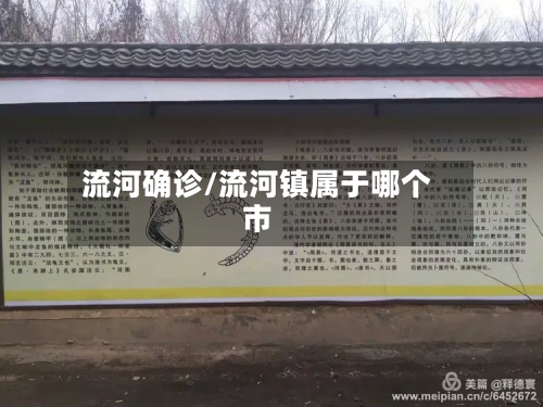 流河确诊/流河镇属于哪个市-第2张图片