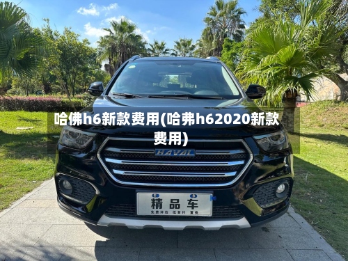 哈佛h6新款费用(哈弗h62020新款费用)-第3张图片