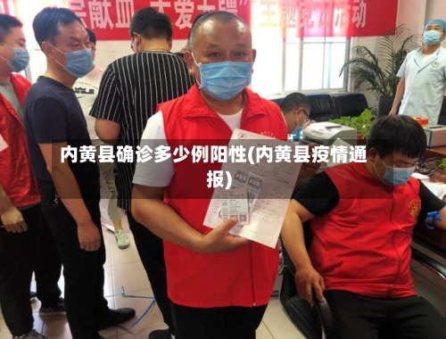 内黄县确诊多少例阳性(内黄县疫情通报)-第2张图片