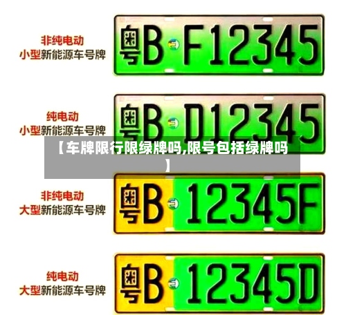 【车牌限行限绿牌吗,限号包括绿牌吗】-第2张图片
