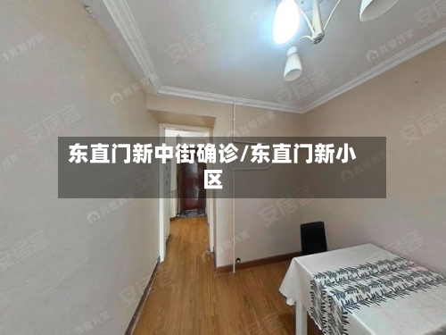 东直门新中街确诊/东直门新小区