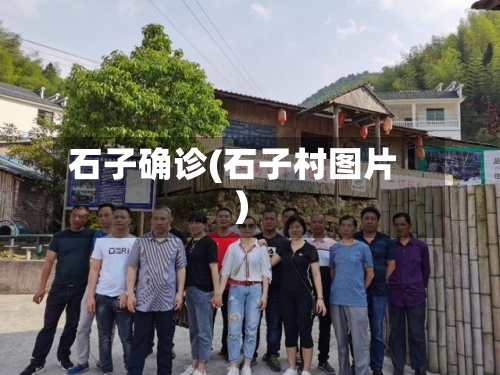 石子确诊(石子村图片)