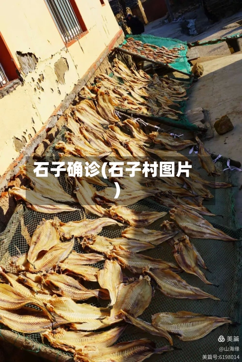 石子确诊(石子村图片)-第3张图片