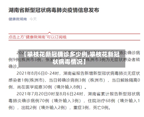 【攀枝花新冠确诊多少例,攀枝花新冠状病毒情况】