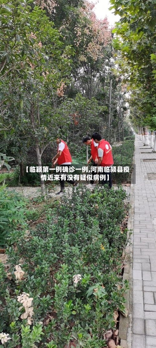 【临颖第一例确诊一例,河南临颍县疫情近来有没有疑似病例】-第2张图片