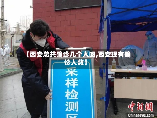 【西安总共确诊几个人呀,西安现有确诊人数】