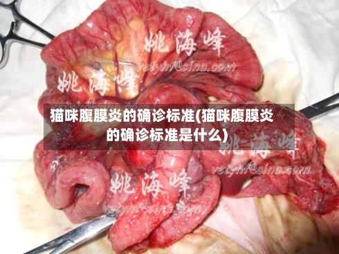猫咪腹膜炎的确诊标准(猫咪腹膜炎的确诊标准是什么)-第2张图片