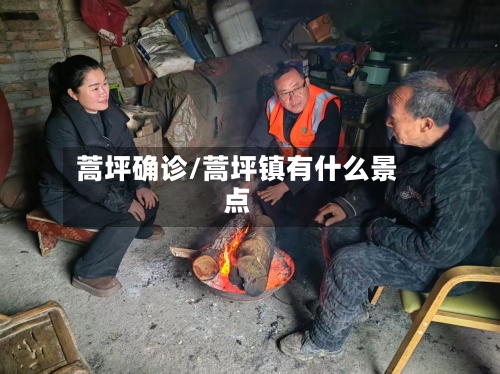 蒿坪确诊/蒿坪镇有什么景点