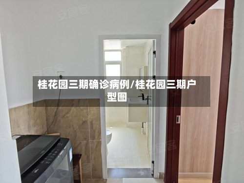 桂花园三期确诊病例/桂花园三期户型图-第3张图片