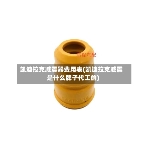 凯迪拉克减震器费用表(凯迪拉克减震是什么牌子代工的)