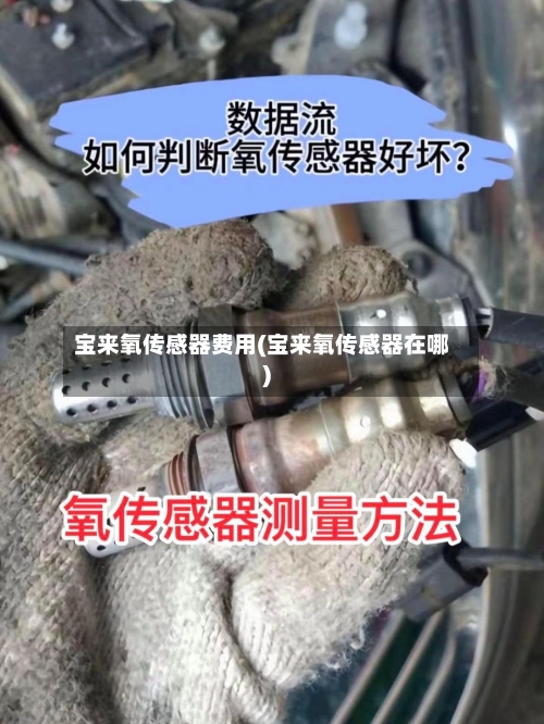 宝来氧传感器费用(宝来氧传感器在哪)-第2张图片