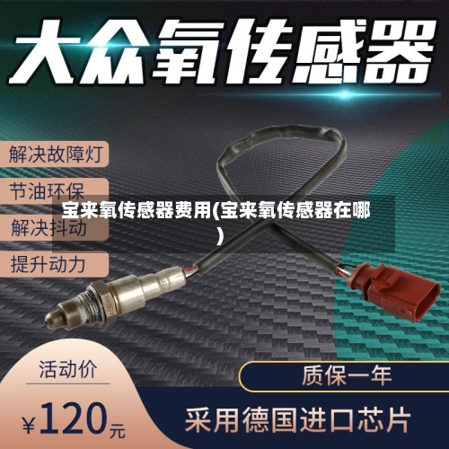 宝来氧传感器费用(宝来氧传感器在哪)-第3张图片