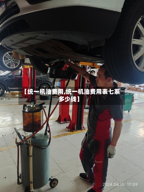 【统一机油费用,统一机油费用表七系多少钱】-第2张图片