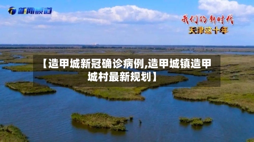 【造甲城新冠确诊病例,造甲城镇造甲城村最新规划】-第2张图片