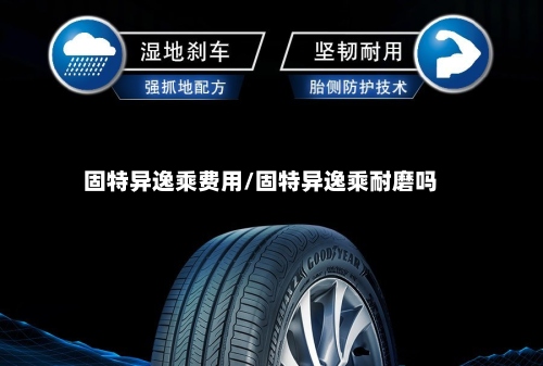 固特异逸乘费用/固特异逸乘耐磨吗-第2张图片