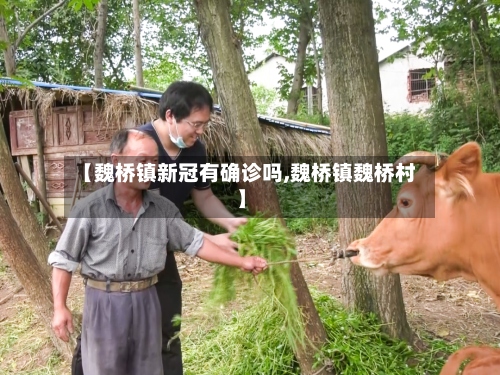 【魏桥镇新冠有确诊吗,魏桥镇魏桥村】-第3张图片