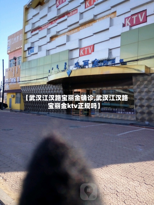 【武汉江汉路宝丽金确诊,武汉江汉路宝丽金ktv正规吗】-第3张图片