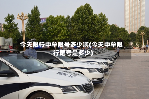 今天限行中牟限号多少啊(今天中牟限行尾号是多少)-第3张图片
