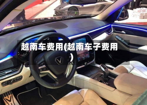 越南车费用(越南车子费用)