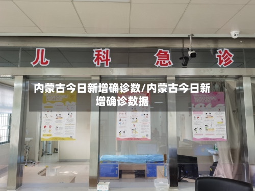 内蒙古今日新增确诊数/内蒙古今日新增确诊数据-第2张图片