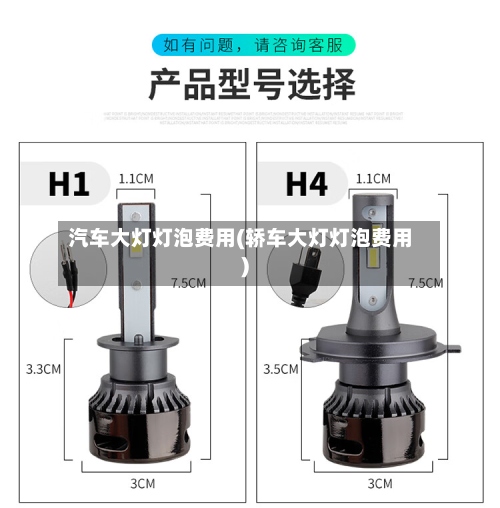 汽车大灯灯泡费用(轿车大灯灯泡费用)-第3张图片